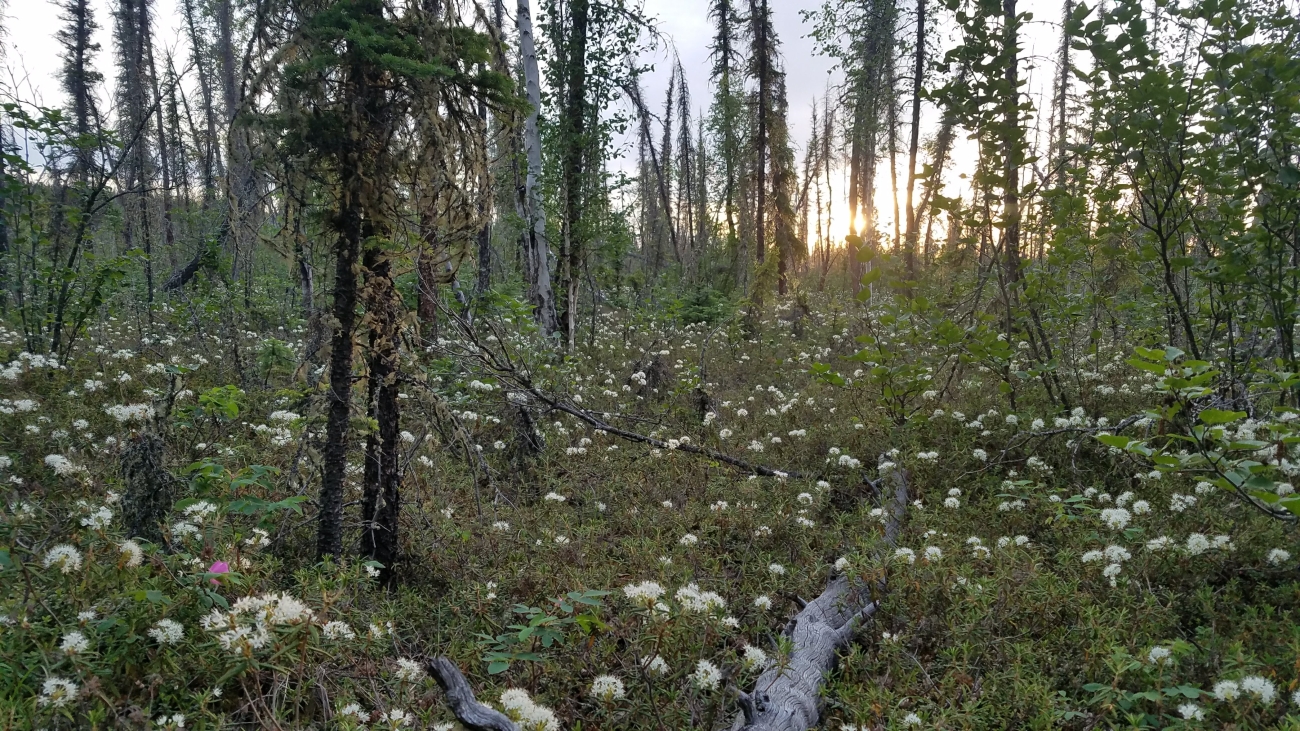 image7.jpg