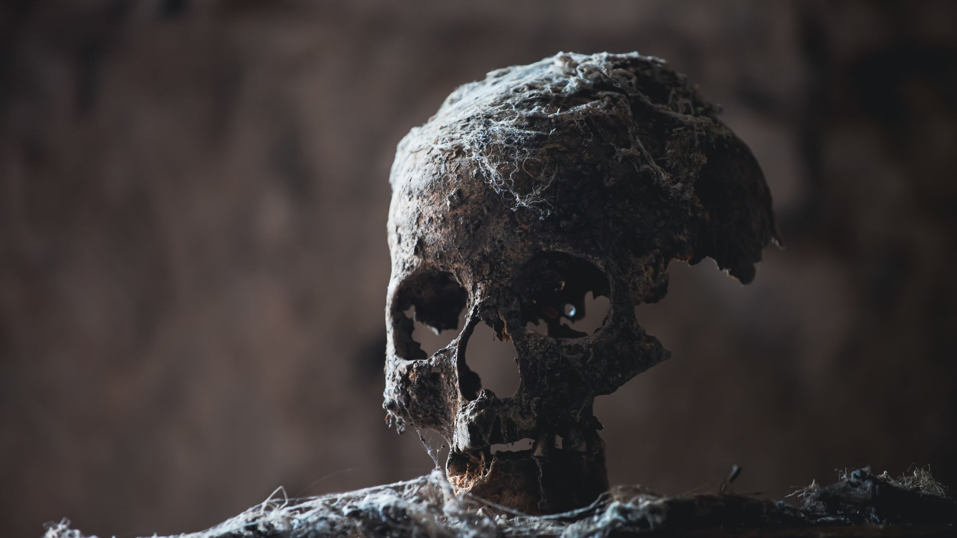 Істота з позамежжя.jpg