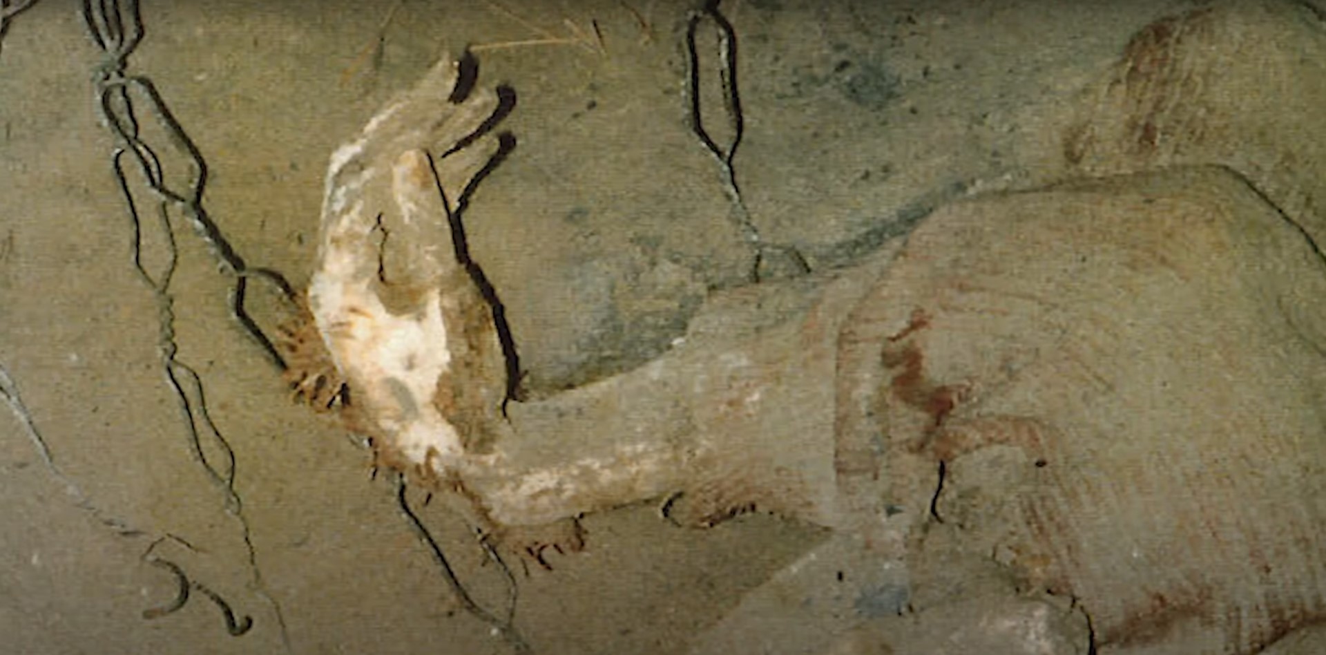 image3.jpg
